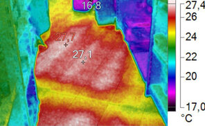 IR_00204.IS2.jpg